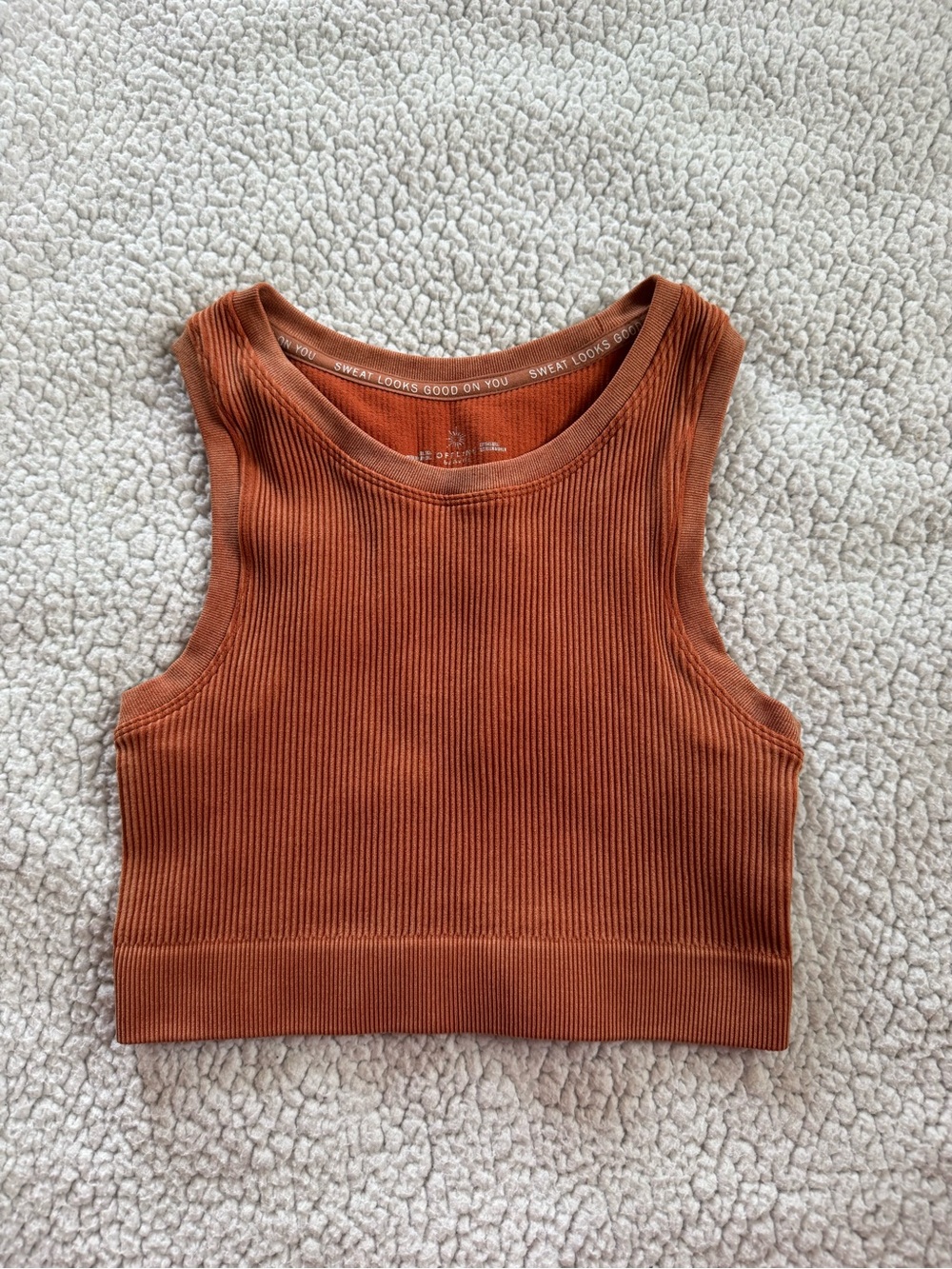 Aerie Rust Ribbed Cropped Workout Tank